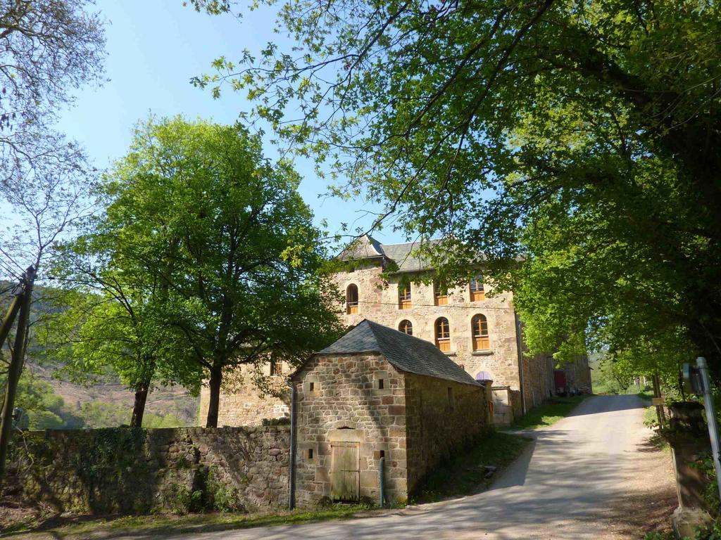 Chateau De Salelles Banassac 외부 사진