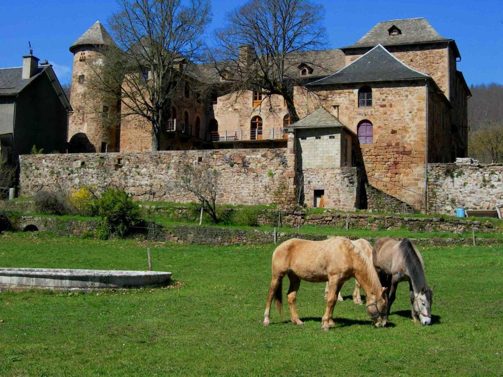 Chateau De Salelles Banassac 외부 사진